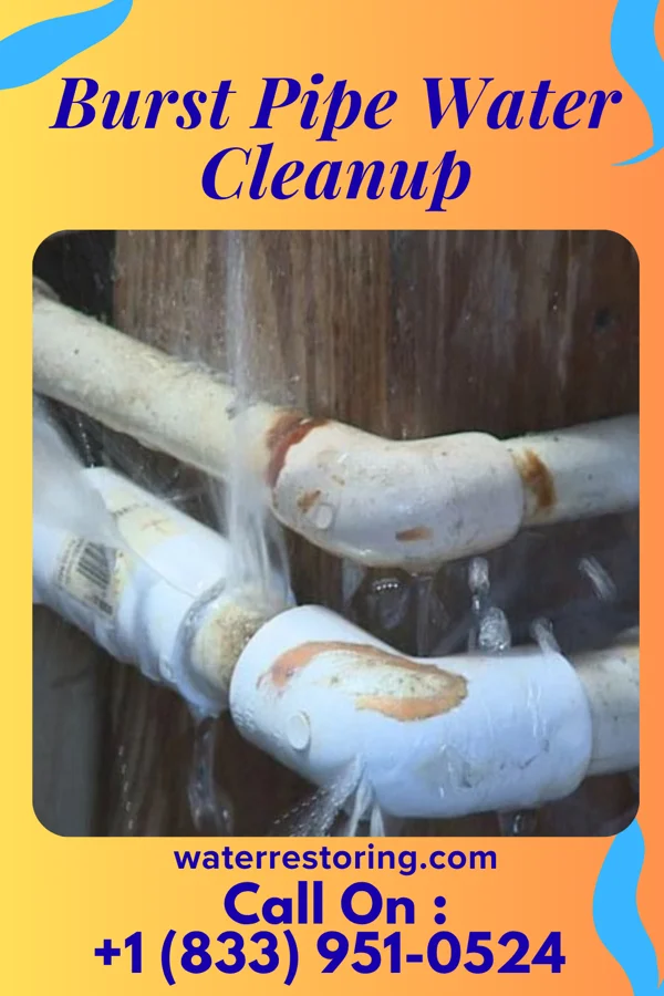 Burst Pipe Water Cleanup in Tutwiler, MS