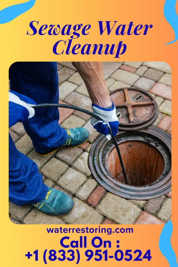 Sewage Water Cleanup in Tutwiler, MS